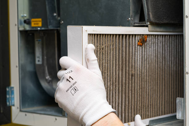 Best Affordable HVAC Duct Cleaning  in Shawneeland, VA