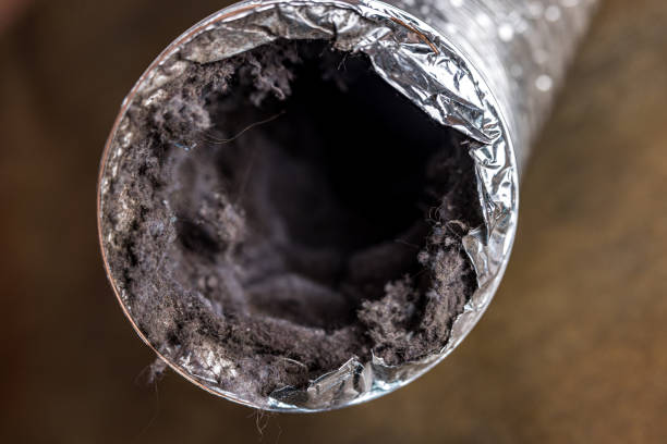 Best HVAC Air Duct Cleaning  in Shawneeland, VA