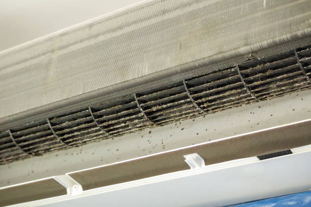 Best Air Duct Cleaning Near Me  in Shawneeland, VA