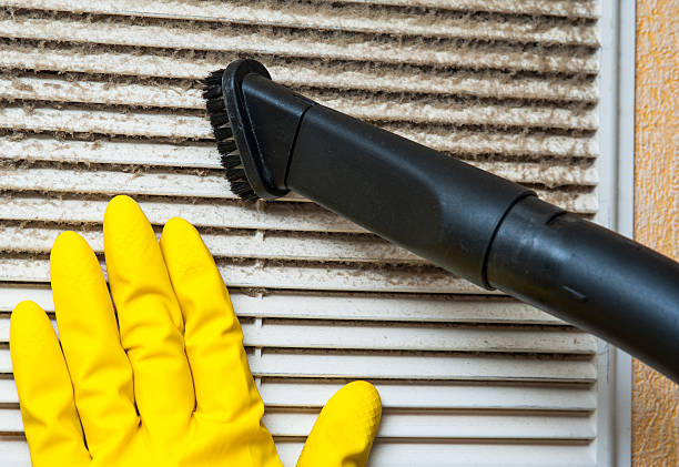 Best Ductwork Cleaning Services  in Shawneeland, VA